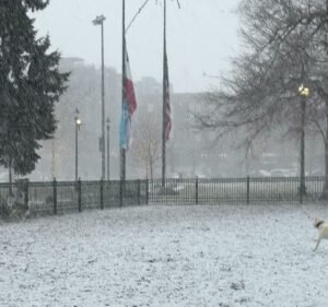 Soccer Field image 3