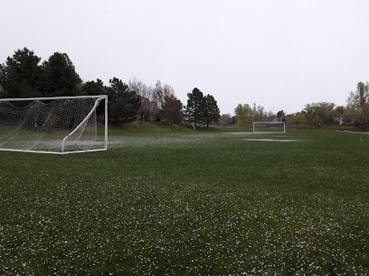 Soccer Field image 1