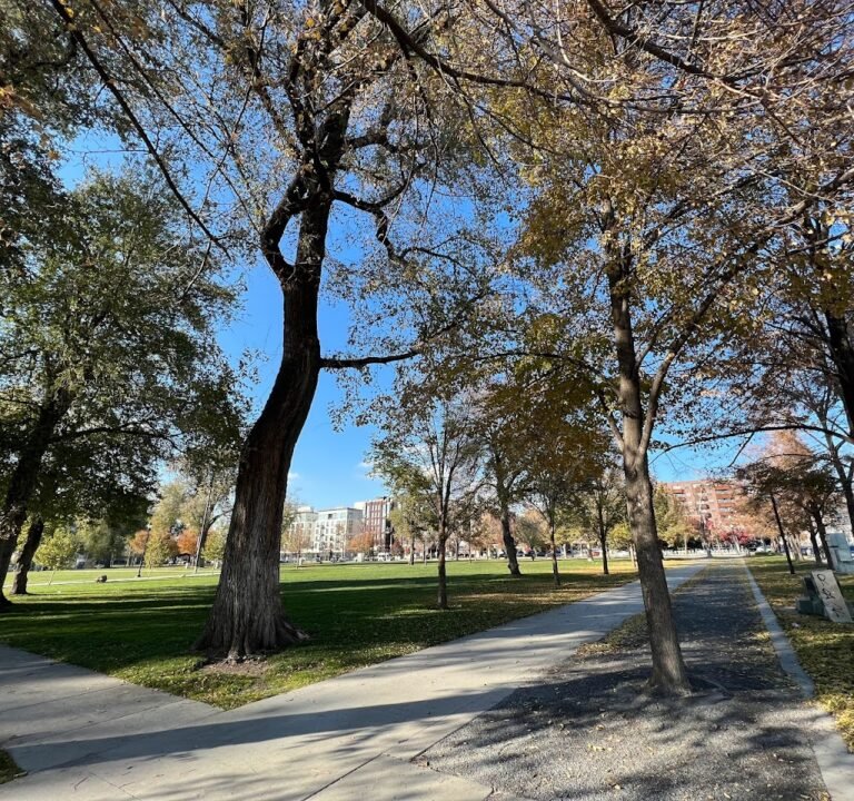 Soccer Field image 2