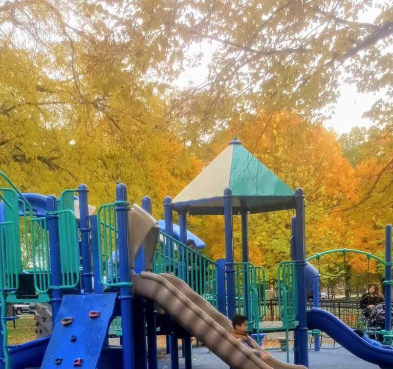 Soccer Field image 2