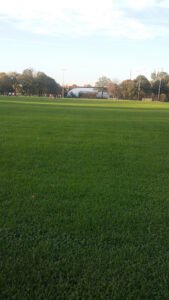 Soccer Field image 1