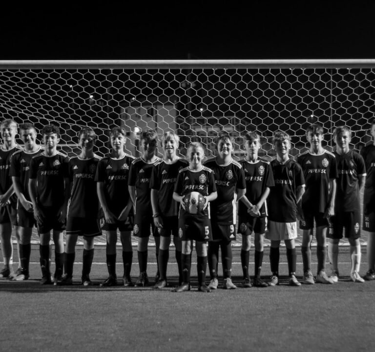 Soccer Field image 2