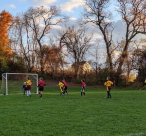 Soccer Field image 2