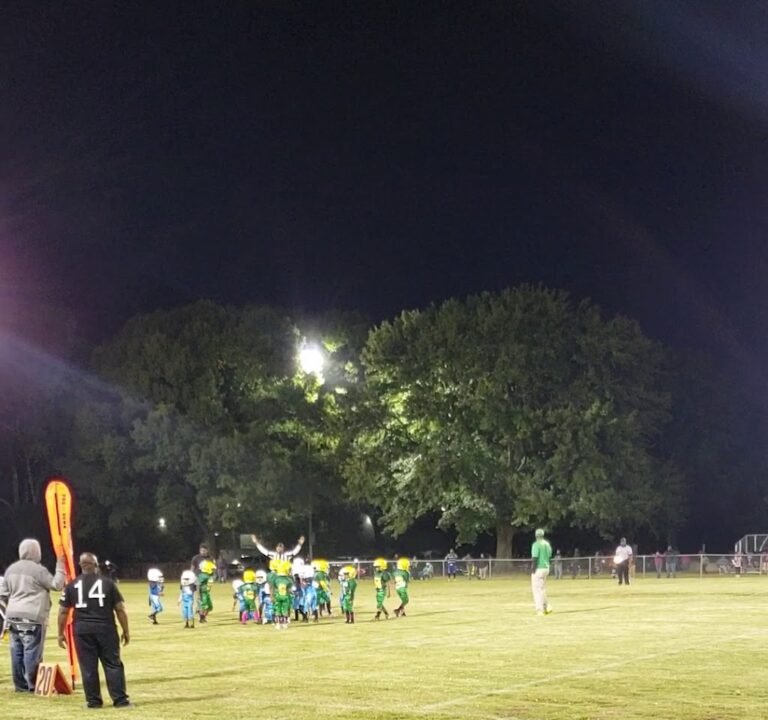 Soccer Field image 3