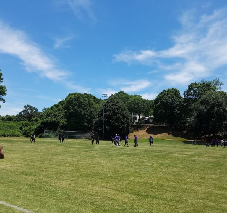 Soccer Field image 2