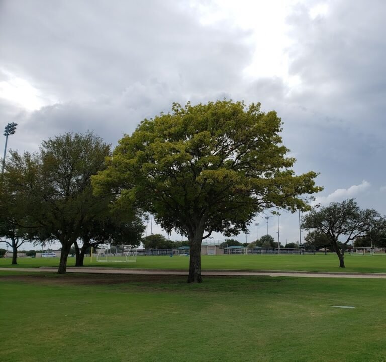 Soccer Field image 2