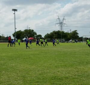 Soccer Field image 4