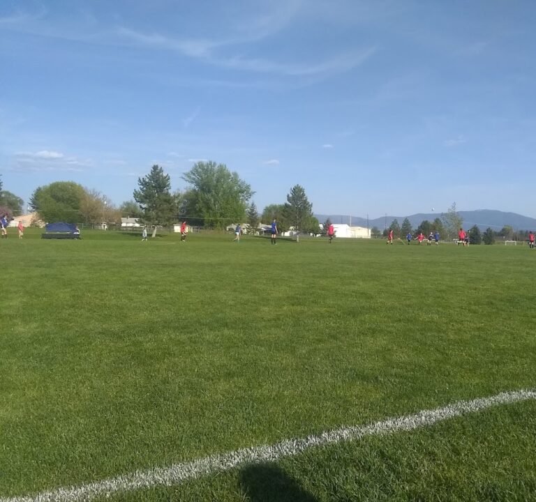 Soccer Field image 2