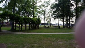 Soccer Field image 1