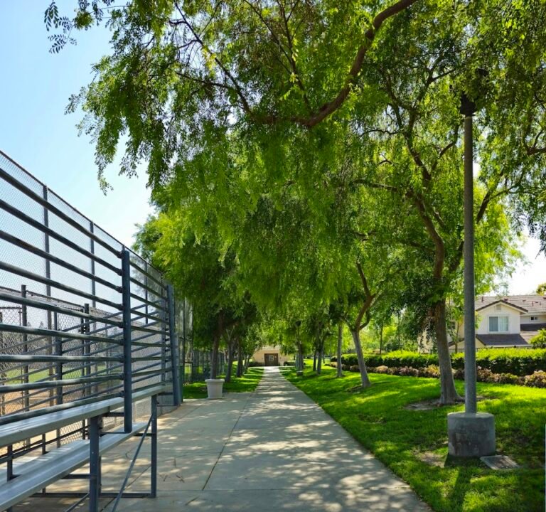 Soccer Field image 2