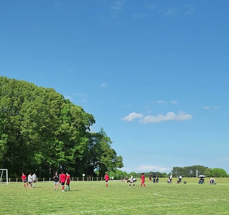 Soccer Field image 2