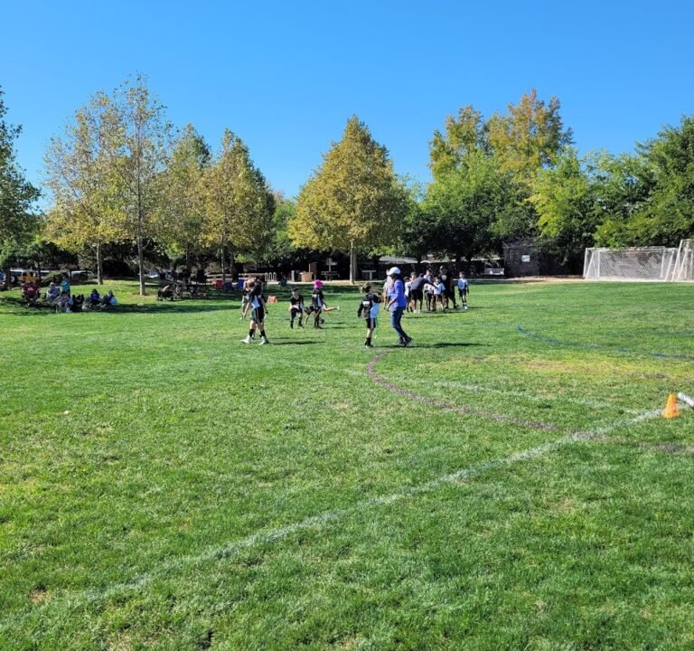 Soccer Field image 3