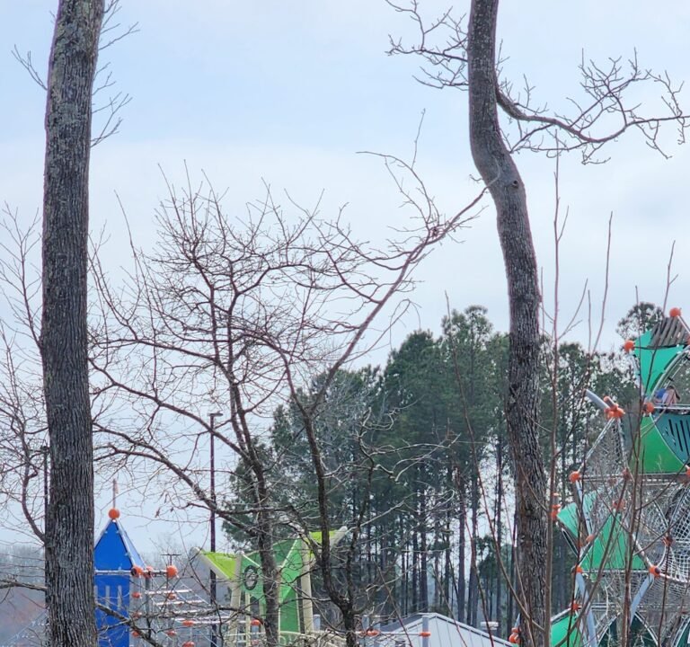 Soccer Field image 3