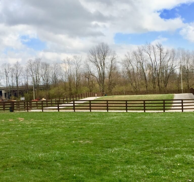 Soccer Field image 3