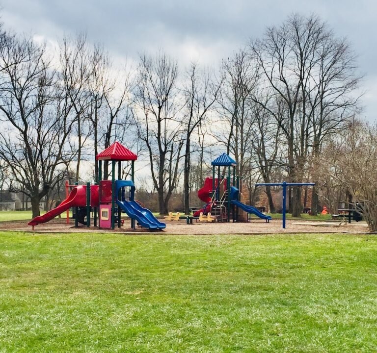 Soccer Field image 2