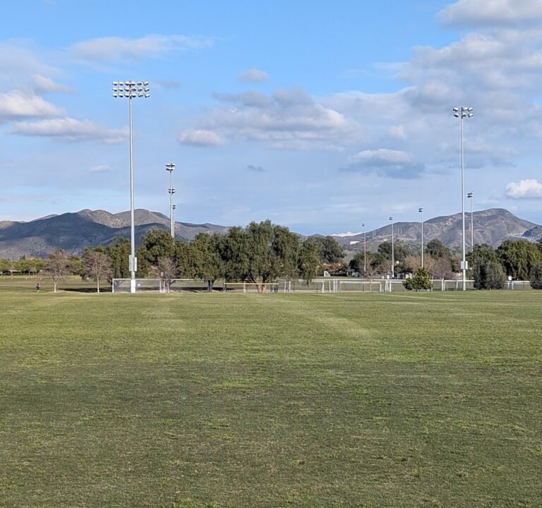 Soccer Field image 3