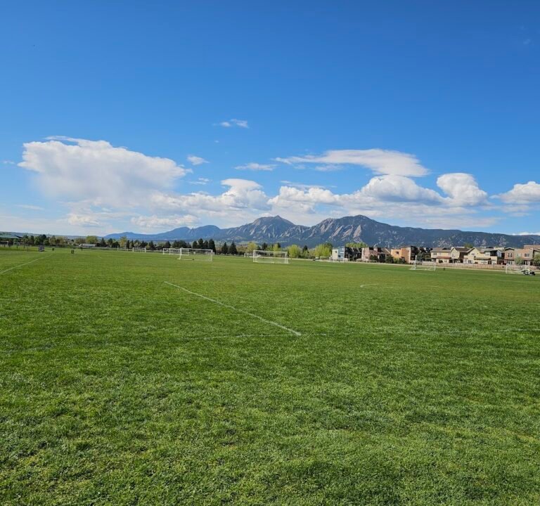 Soccer Field image 2