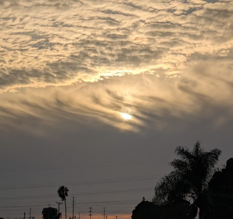 Soccer Field image 3