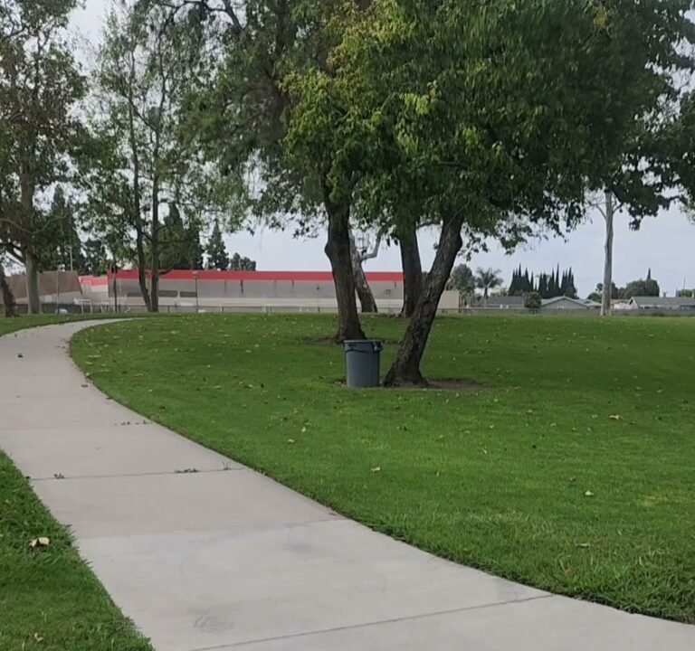 Soccer Field image 4