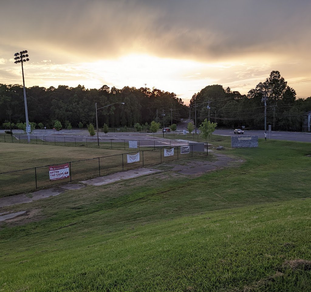 Soccer Field image 1