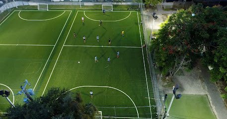 Soccer Field image 1