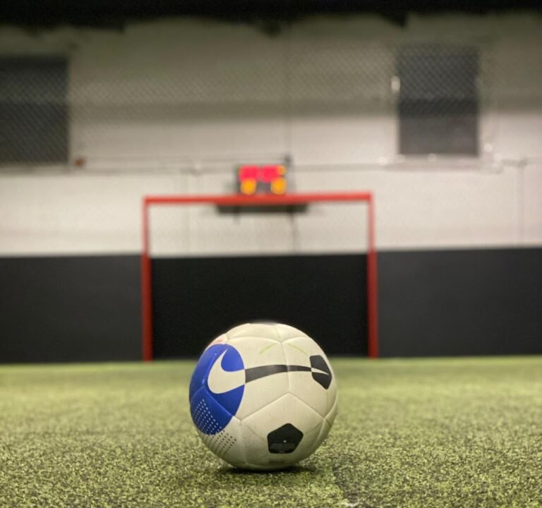 Soccer Field image 3