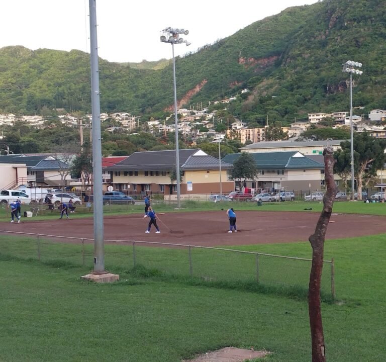 Soccer Field image 2
