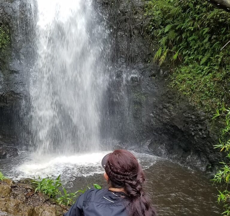 Soccer Field image 3