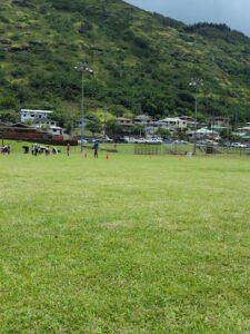 Soccer Field image 1