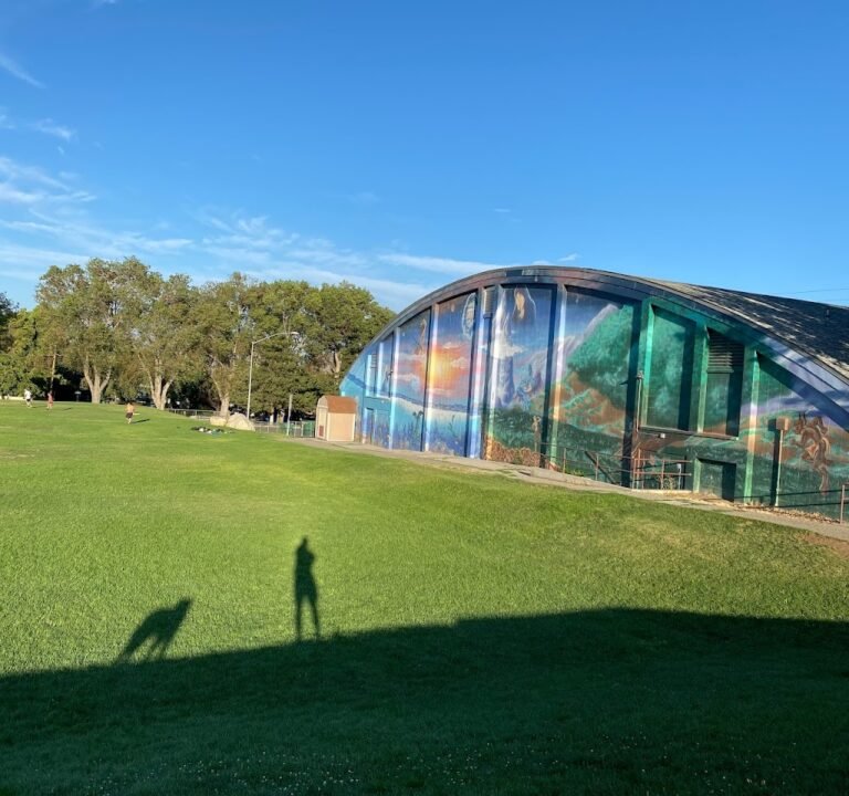 Soccer Field image 2