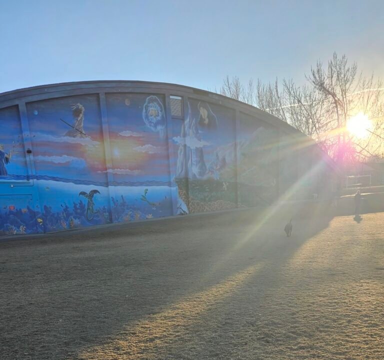 Soccer Field image 3