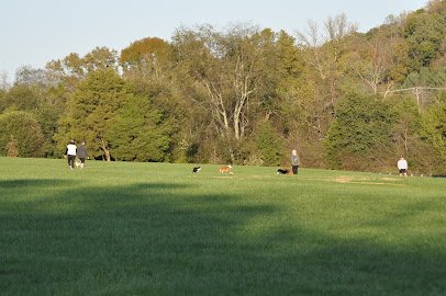 Soccer Field image 1