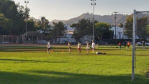 Soccer Field image 1