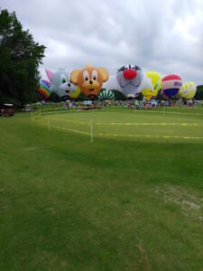 Soccer Field image 1