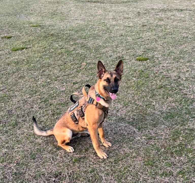 Soccer Field image 3