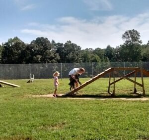 Soccer Field image 2