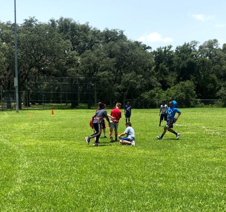 Soccer Field image 2