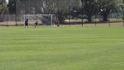 Soccer Field image 1