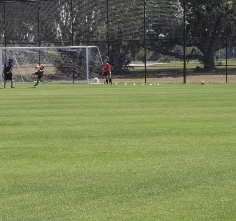 Soccer Field image 3