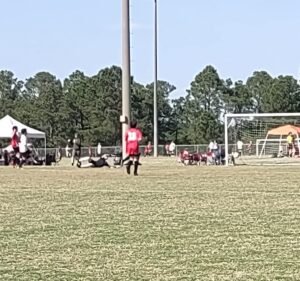 Soccer Field image 2