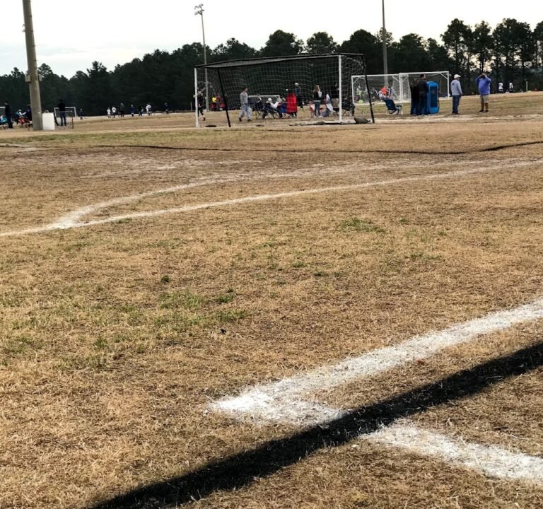 Soccer Field image 3