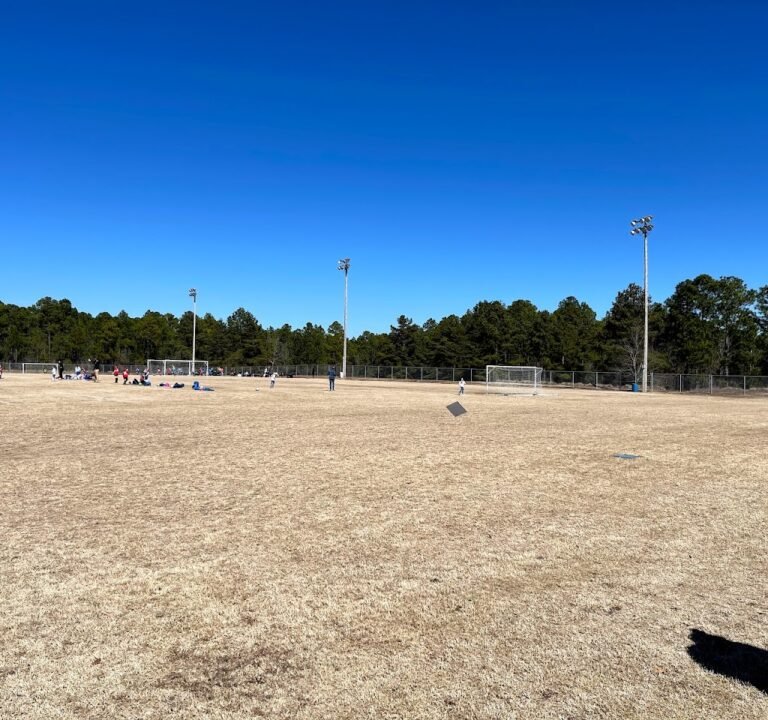Soccer Field image 2