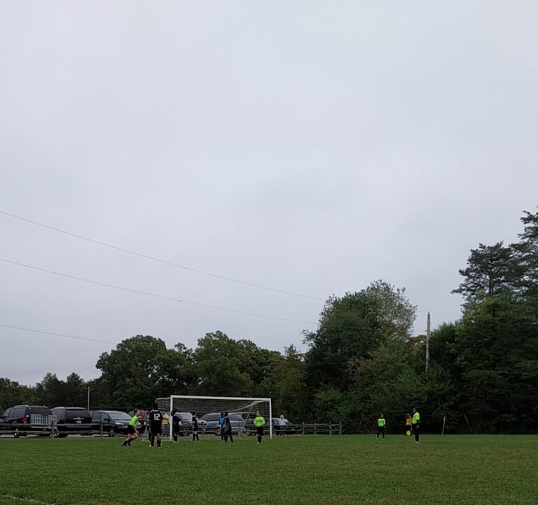 Soccer Field image 3