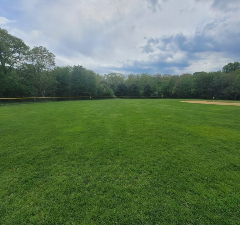 Soccer Field image 2