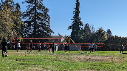 Soccer Field image 1