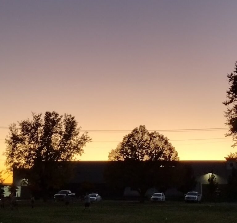 Soccer Field image 3