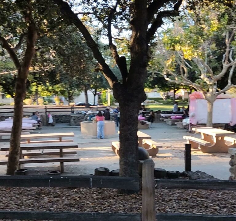 Soccer Field image 4