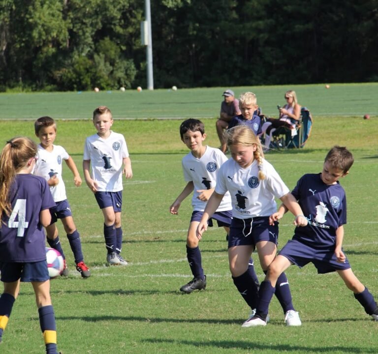 Soccer Field image 2