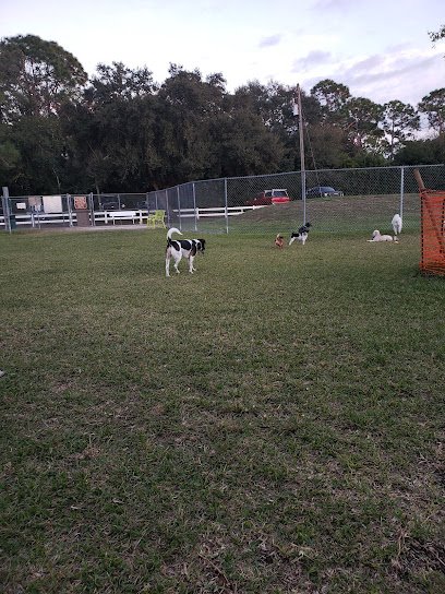 Soccer Field image 1