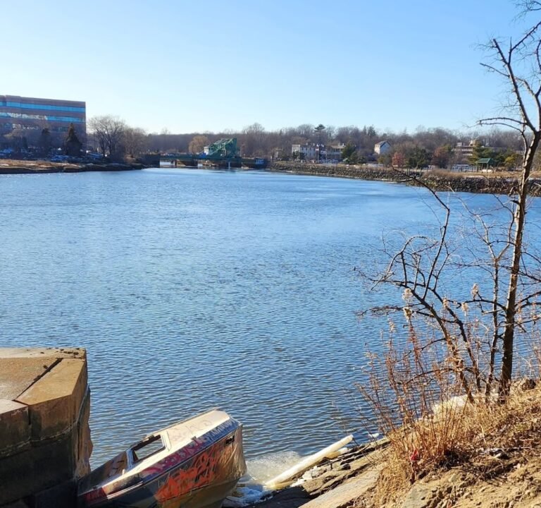 Soccer Field image 3